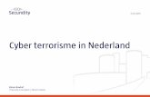 Cyber terrorisme in Nederland