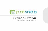 Patsnap Overview