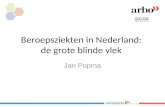 De grote blinde vlek - Jan Popma