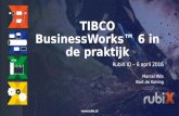 RubiX ID - Tibco business works™ 6 in de praktijk - Bart de Koning en Marcel Wils