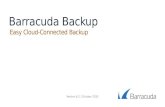 Barracuda Backup presentatie van 26/11/15 bij SLBdiensten