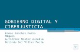 Gobierno digital y ciberjusticia