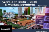 Wereld 2025-2050 & toekomst van werk