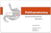 Gastrointestinal System USMLE Pretest