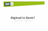 Digitaal in Genk? Over strategie, interessegroepen en uitvoering in de digitale overheidscommunicatie.