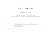 LEERPLAN Esthetica
