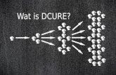 Wat is DCURE?