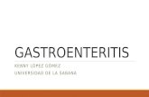 Gastroenteritis en adultos 2017