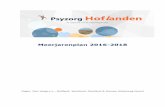 Meerjarenplan 2016-2018 Psyzorg Hoflanden - ALV