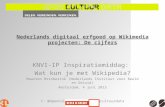 KNVI-IP inspiratiemiddag over Wikipedia - presentatie Maarten Brinkerink