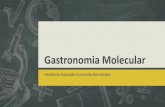 Gastronomia molecular