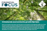 Financial Focus | Onbekende economische groeibriljantjes
