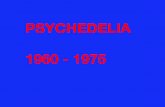 Psychedelic Era