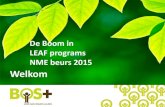 20151110 nme dag-into the trees_leaf