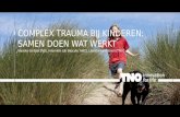 Utrecht/Kenniscongres2016/10/I. Hein, M. de Baat, L. v. Harten/Complex trauma bij kinderen: samen doen wat werkt