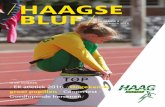 Haagse Bluf 2016-3