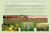Nieuwsbrief plantenwerkgroep 4, 2016.pdf