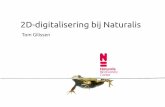 2D-digitalisering bij Naturalis Biodiversity Center