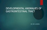 Congenital gastrointestinal  anomalies