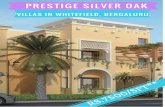 Prestige silver oak