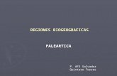 Regiones biogeograficas paleartica
