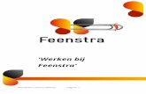 Adviesrapport Feenstra