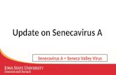 Dr. Chris Rademacher - Update on Senecavirus A