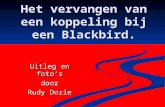 Download vervangen_koppeling(clutch)_blackbird.ppt