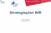 29-01-2010  Strategie BIR
