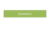 Plantas ii