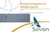 Presentatie Kraanvogels in Nederland