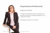 Experiencia Profesional - CV