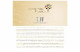 Brochure Functional Fluency en TIFF licentietraject boom