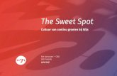 L&D Awards: The Sweet Spot: Cultuur van continu groeien bij Wijs