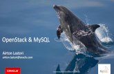 OpenStack & MySQL