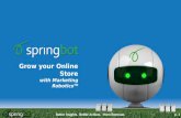 Springbot demo 2013