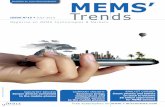 MEM's Trends 2013