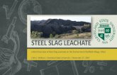 STEEL SLAG LEACHATE