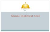 Sunni instituut test