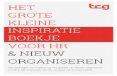 Het grote kleine inspiratieboekje voor HR & Nieuw organiseren