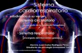 Sistema cardiorrespiratorio