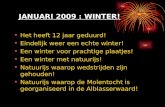 Winter In De Alblasserwaard 2009