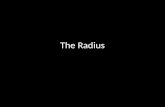 Slideshow: Radius