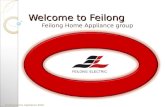 Feilong - Company Profile 2016