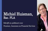Michiel Huisman Consultancy BV