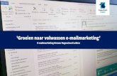 E mailmarketing binnen Hogeschool Leiden 'Groeien naar volwassen e-mailmarketing'