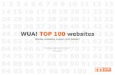 Wua! Top 100 Websites 2013 Rapportage