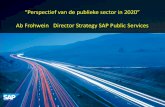 Perspectief van de publieke sector in 2020