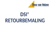 Theo van Velzen - DSI bronbemaling