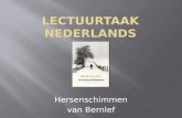 Larissa nederlands lectuurtaak